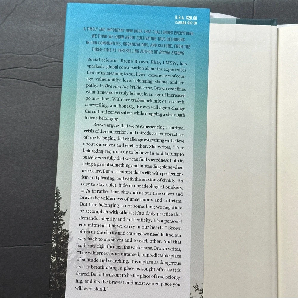โ SOLD โ Braving The Wilderness by Brenรฉ Brown | Self-Help, Psychology | HB - Picture 4 of 11